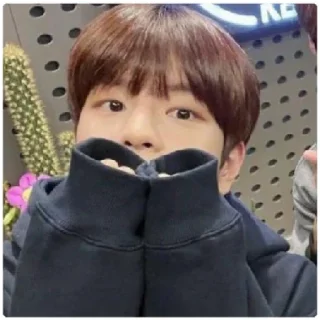 😁 emoji Сынмин няняня Telegram sticker 17 of 21
