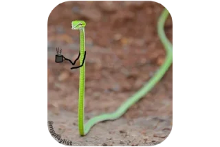 🐍 emoji @Estickrs 🌭 @Dastarkhan_Fatema Telegram sticker 22 of 103