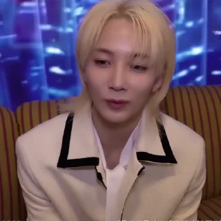 🕶 emoji ‌‌            allegra 's jeonghan @tuIcie Telegram sticker 15 of 79