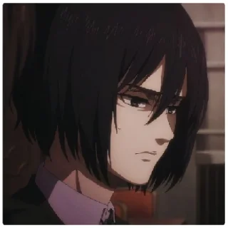 😁 emoji mikasa arckerman @grctrix Telegram sticker 8 of 17