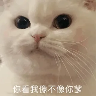 ⭐ emoji 得力集团出国劳务 @dljtdq Telegram sticker 21 of 35