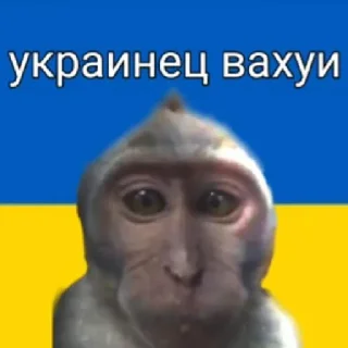 👌 emoji вахуи Telegram sticker 11 of 13
