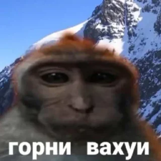 👌 emoji вахуи Telegram sticker 3 of 13