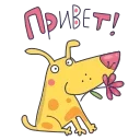 Sticker from PRIVET_AN_1
