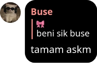 🖥️ emoji Buse, Askbahcem💗 ve Kübra pack by @QuotLyBot Telegram sticker 14 of 37