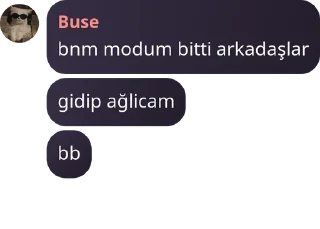 📸 emoji Buse, Askbahcem💗 ve Kübra pack by @QuotLyBot Telegram sticker 7 of 37