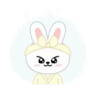 Sticker from SKZOO @skzstickers