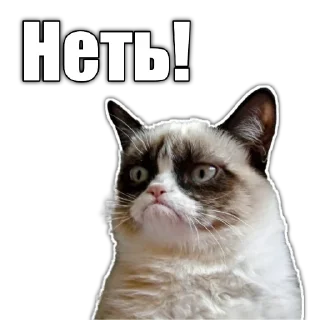 🙅‍♂ emoji Cats police Telegram sticker 12 of 120