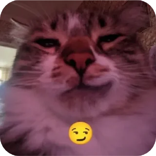 😼 emoji BLEHHHHH:P Telegram sticker 7 of 88