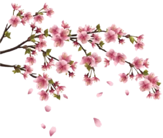 🌸 emoji @bo7_MHAGR  - @BIN_ODAHX  - @VEDEO_ASLAMY — @stckrRobot Telegram sticker 23 of 120