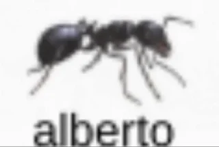 ™ emoji Funny names Telegram sticker 9 of 42