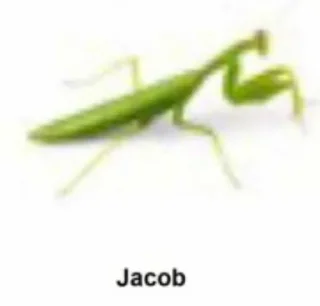 Sticker from Funny names