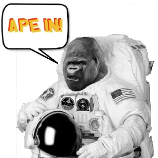 🦍 emoji Ape Team 500 Telegram sticker 4 of 88