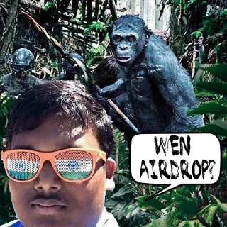 🦍 emoji Ape Team 500 Telegram sticker 10 of 88