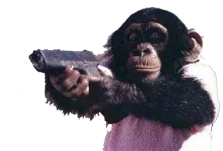 🦍 emoji Ape Team 500 Telegram sticker 24 of 88