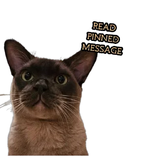 😀 emoji @Shivaonton Telegram sticker 20 of 20