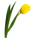 🌻 emoji عالم الجمال gmalll@ Telegram sticker 21 of 119