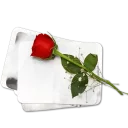🌸 emoji عالم الجمال gmalll@ Telegram sticker 7 of 119