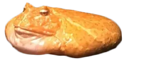 🥖 emoji BOBPACK 2 Telegram sticker 14 of 88