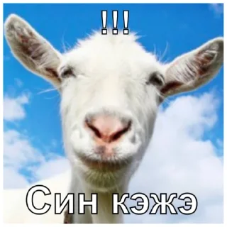 ⚪️ emoji Татарабу Telegram sticker 4 of 30