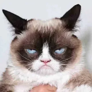 😠 emoji @OmerNGS @AsenaUserBot Paketi 1 Telegram sticker 9 of 35