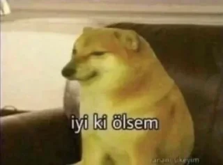 😞 emoji lágrimass şchgottenbiısırık Telegram sticker 16 of 22