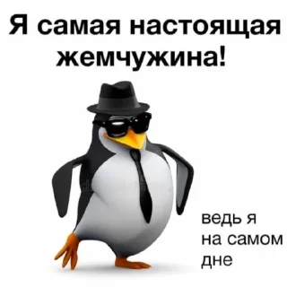 😏 emoji пингвинчики Telegram sticker 10 of 14