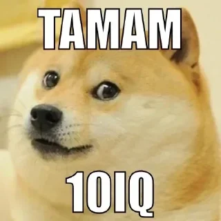 😦 emoji @KaanREiS @AsenaUserBot Paketi 1 Telegram sticker 13 of 92