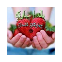 🍉 emoji یلدای 95 Telegram sticker 13 of 23