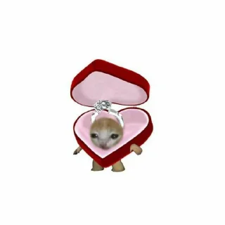 💍 emoji anan Telegram sticker 7 of 16
