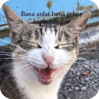 🤓 emoji Suu 😝💔🚬❤️‍🩹 @QuotLyBot Telegram sticker 13 of 90