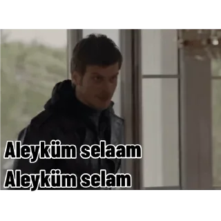 🎉 emoji Kuzey Güney v3 Telegram sticker 19 of 20