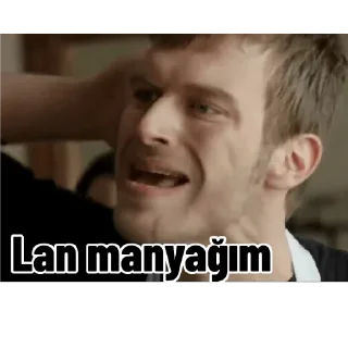 🎉 emoji Kuzey Güney v3 Telegram sticker 4 of 20