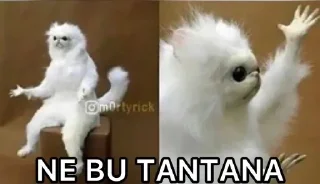 😲 emoji Albaydanvan pack by @QuotLyBot Telegram sticker 10 of 107