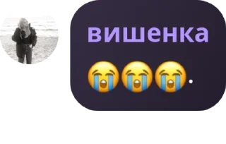 😭 emoji 홍수 - stellar.kids 𓆩♡𓆪 pack by @QuotLyBot Telegram sticker 11 of 120