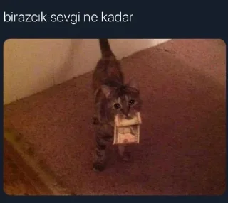 🥺 emoji @kimbukatilcivciv | 🌃 @SiriUserBot Paketi | 1 Telegram sticker 2 of 59