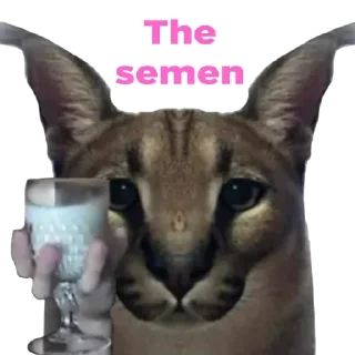 🥛 emoji EPIK — @stckrRobot Telegram sticker 1 of 35