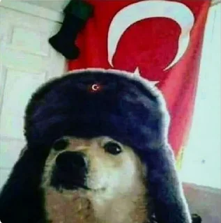 🤔 emoji @feministbukucu @AsenaUserBot Paketi 1 Telegram sticker 3 of 56