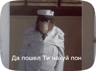 Sticker from Обезьянки поны 8