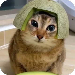 🫥 emoji LUCI ON TOP Telegram sticker 22 of 40