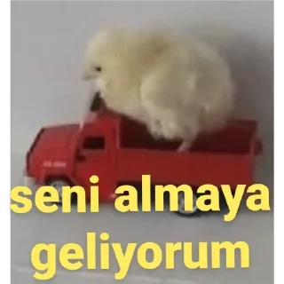 Sticker from @Birdeliasena @AsenaUserBot Paketi 2