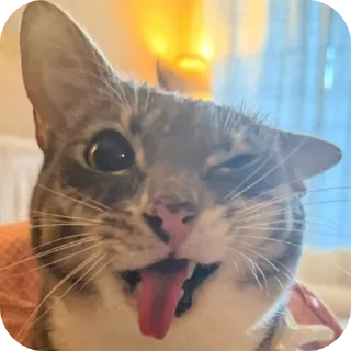 🐱 emoji Чорти Telegram sticker 13 of 65