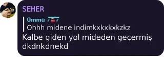 💜 emoji @birdeliasena @AsenaUserBot Paketi 1 Telegram sticker 16 of 95