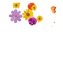 Sticker from Flowers- @MochaStickers