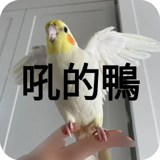 🥰 emoji 透你伯Блядь Telegram sticker 14 of 102
