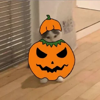 😂 emoji Michi Telegram sticker 6 of 20