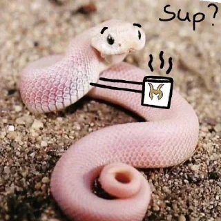 Sticker from Snake pack