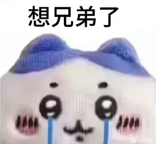 Sticker from 皮卡宝 @pikabao 美金虚拟信用卡