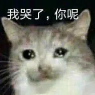 🤭 emoji 皮卡宝 @pikabao 美金虚拟信用卡 Telegram sticker 18 of 56