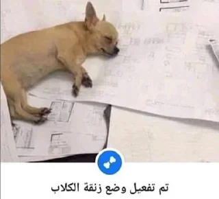 😴 emoji Rucks D Saad 🏴‍☠️ Telegram sticker 13 of 46